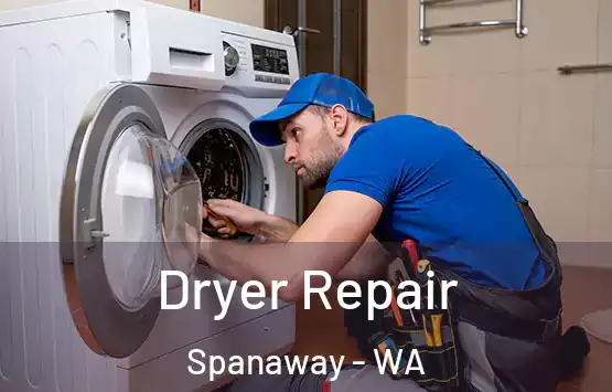  Dryer Repair Spanaway - WA
