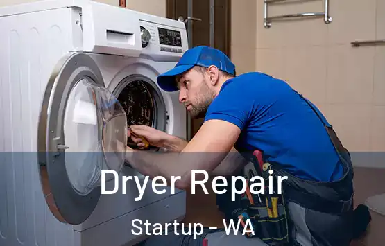  Dryer Repair Startup - WA