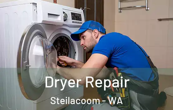  Dryer Repair Steilacoom - WA