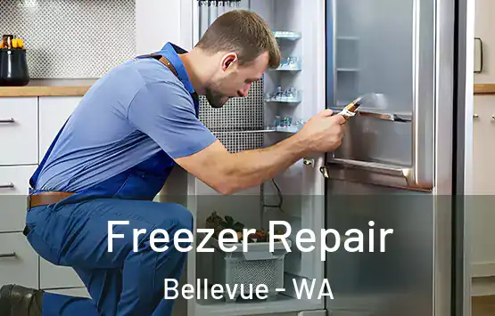  Freezer Repair Bellevue - WA