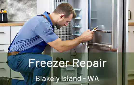  Freezer Repair Blakely Island - WA