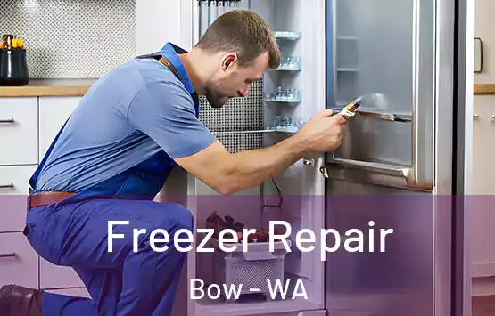  Freezer Repair Bow - WA
