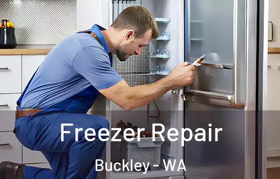  Freezer Repair Buckley - WA
