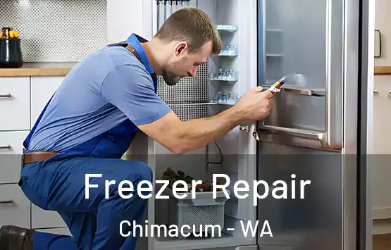  Freezer Repair Chimacum - WA
