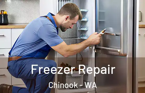  Freezer Repair Chinook - WA