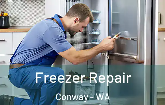  Freezer Repair Conway - WA