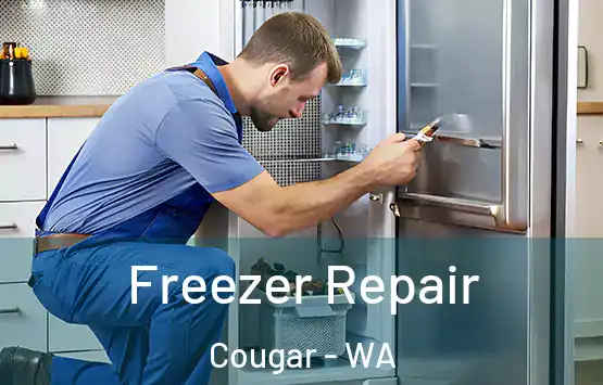  Freezer Repair Cougar - WA
