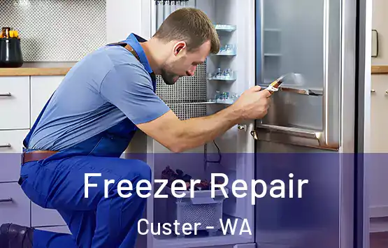  Freezer Repair Custer - WA