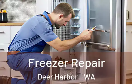  Freezer Repair Deer Harbor - WA