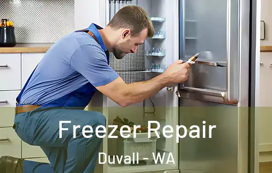  Freezer Repair Duvall - WA