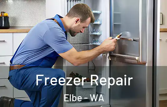  Freezer Repair Elbe - WA