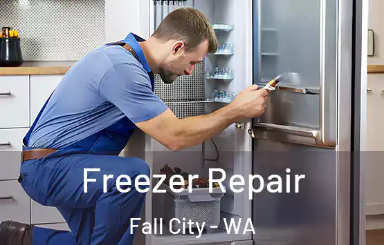  Freezer Repair Fall City - WA