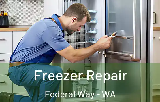  Freezer Repair Federal Way - WA