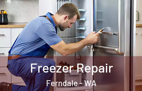  Freezer Repair Ferndale - WA