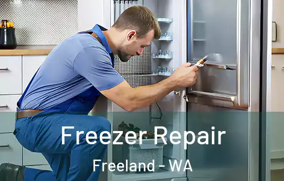  Freezer Repair Freeland - WA