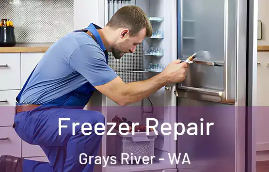  Freezer Repair Grays River - WA