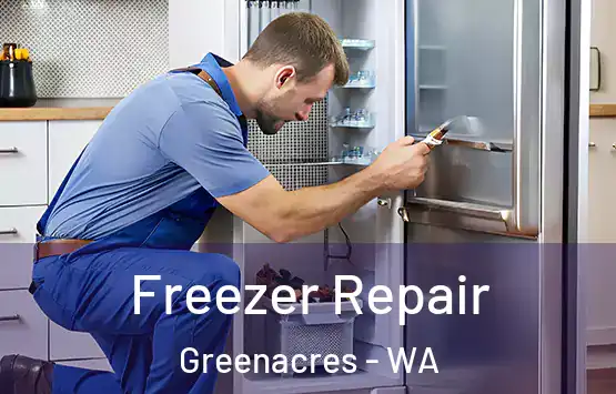  Freezer Repair Greenacres - WA