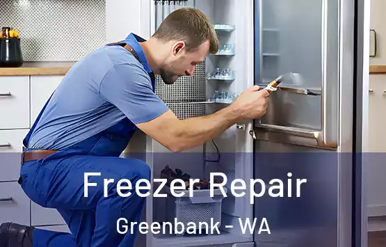  Freezer Repair Greenbank - WA