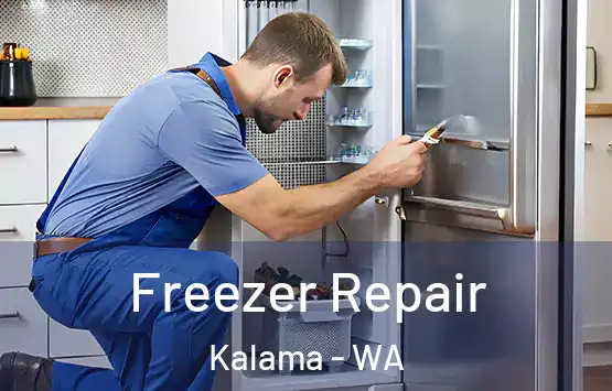  Freezer Repair Kalama - WA