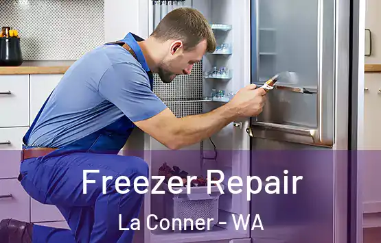  Freezer Repair La Conner - WA