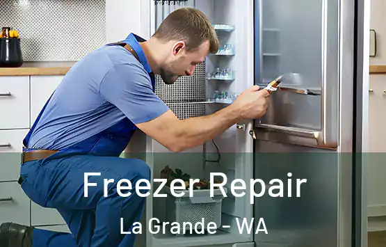  Freezer Repair La Grande - WA
