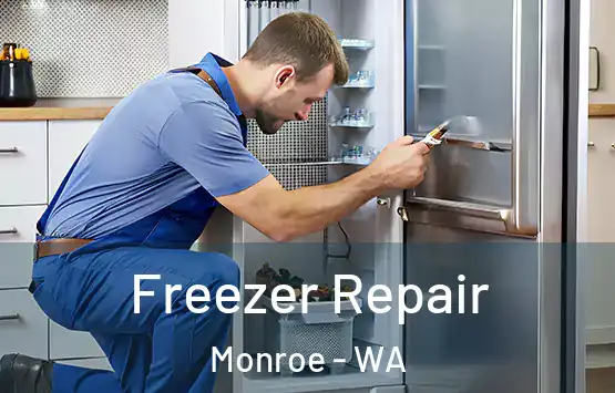  Freezer Repair Monroe - WA