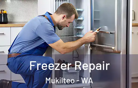  Freezer Repair Mukilteo - WA