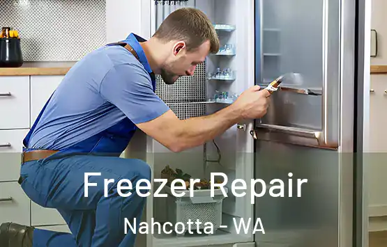  Freezer Repair Nahcotta - WA