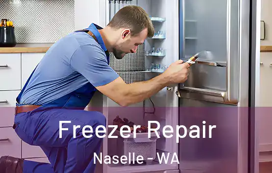  Freezer Repair Naselle - WA