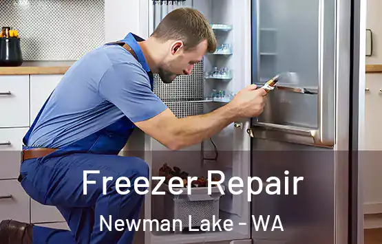  Freezer Repair Newman Lake - WA