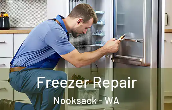  Freezer Repair Nooksack - WA