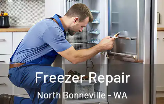  Freezer Repair North Bonneville - WA