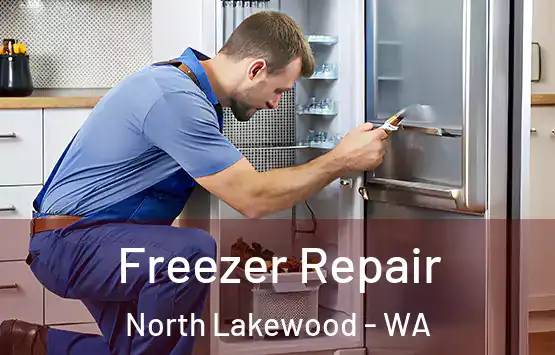  Freezer Repair North Lakewood - WA