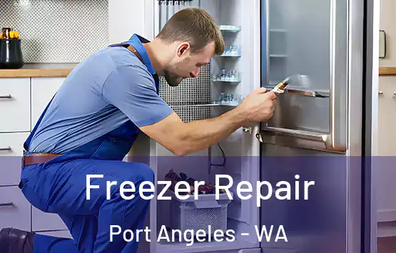  Freezer Repair Port Angeles - WA