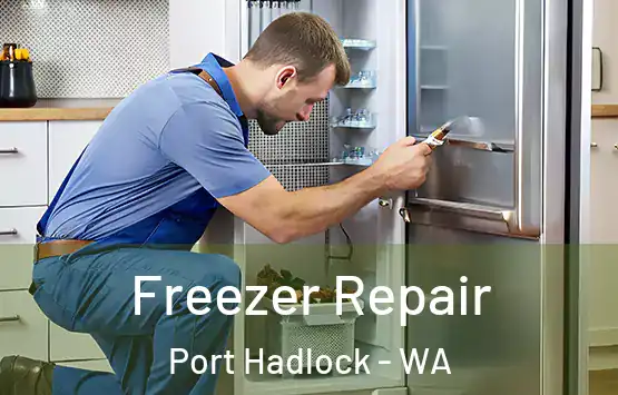  Freezer Repair Port Hadlock - WA