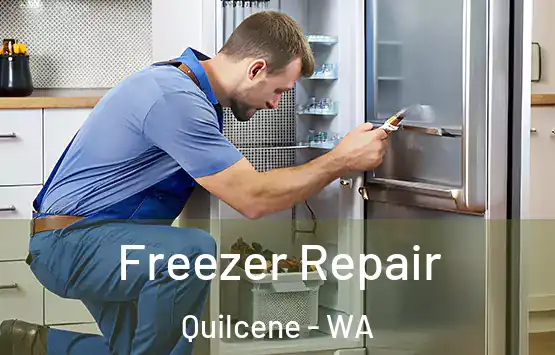  Freezer Repair Quilcene - WA