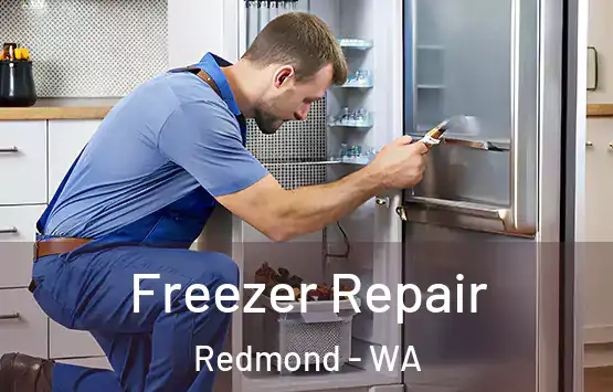  Freezer Repair Redmond - WA