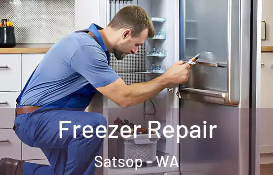  Freezer Repair Satsop - WA