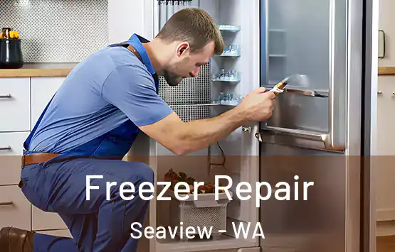  Freezer Repair Seaview - WA