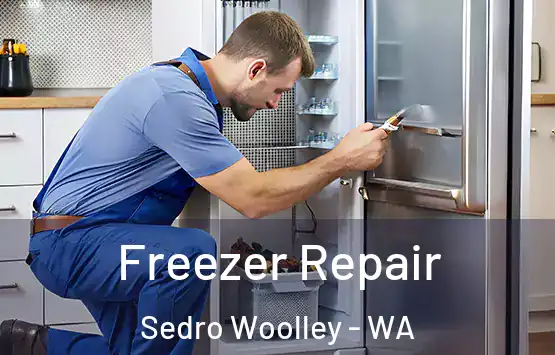  Freezer Repair Sedro Woolley - WA