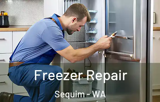  Freezer Repair Sequim - WA