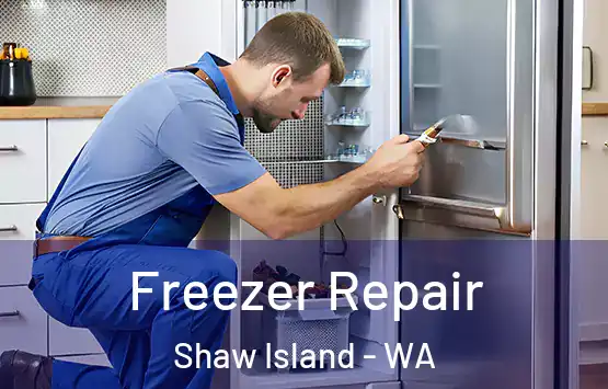  Freezer Repair Shaw Island - WA