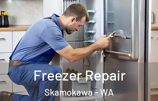  Freezer Repair Skamokawa - WA