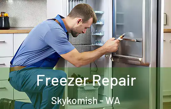  Freezer Repair Skykomish - WA