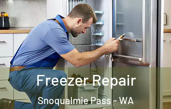  Freezer Repair Snoqualmie Pass - WA