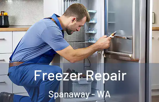  Freezer Repair Spanaway - WA