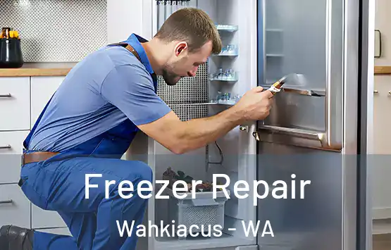  Freezer Repair Wahkiacus - WA