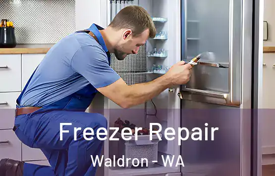  Freezer Repair Waldron - WA