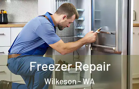  Freezer Repair Wilkeson - WA