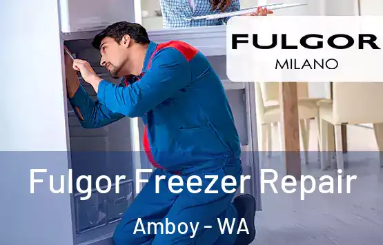  Fulgor Freezer Repair Amboy - WA